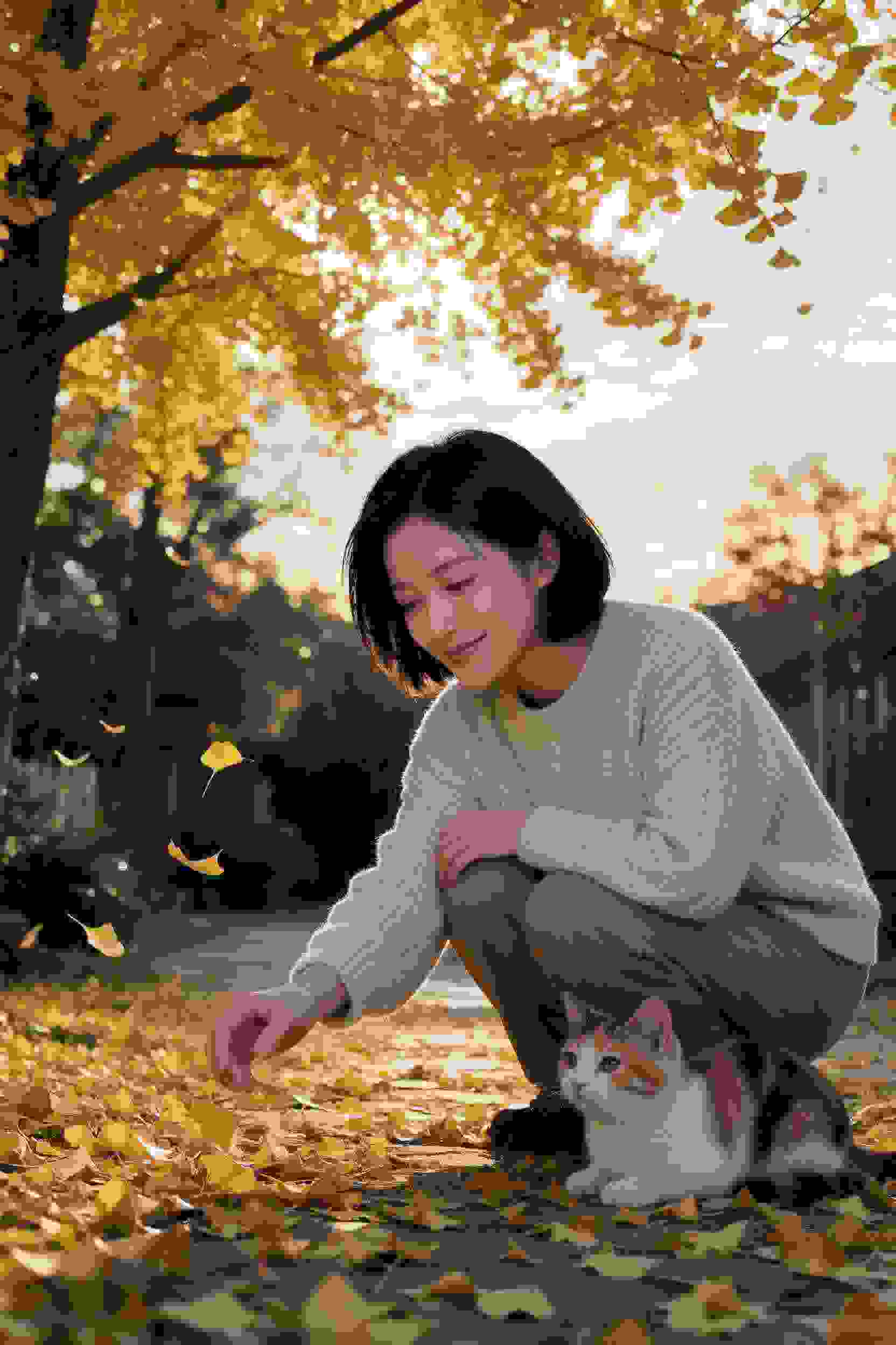坚如磐石
